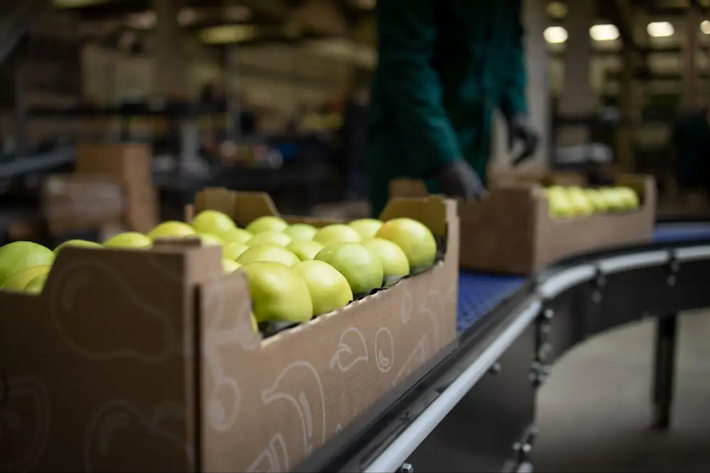 76de28ad-2a34-45dc-9e76-948a6c68eddd