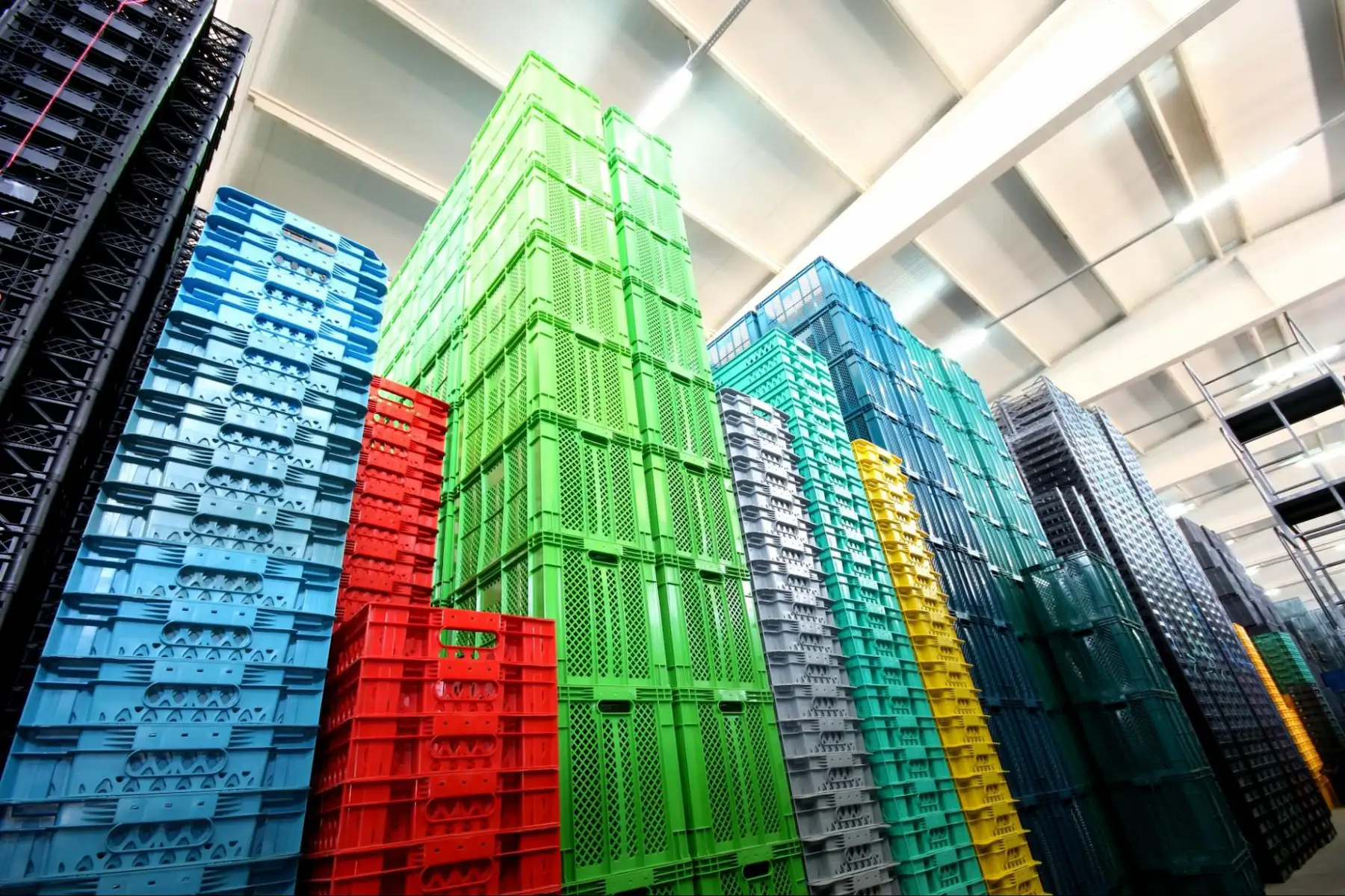 8787b4ed-1875-4741-81bf-0462497175c5